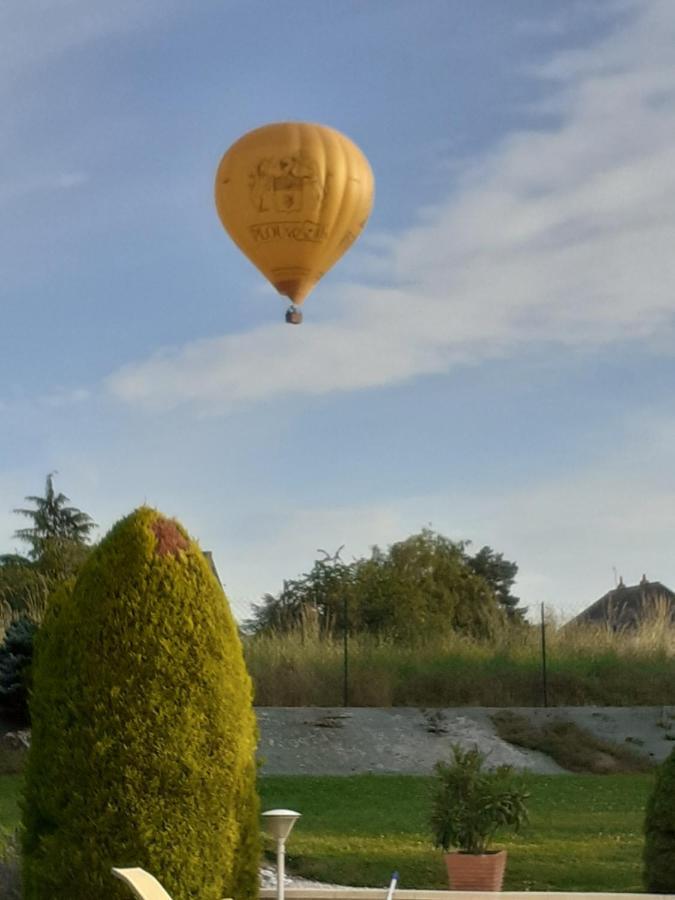 أمبُواز Villa Le Clos De Mosny المظهر الخارجي الصورة
